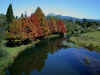 Autumn Reflection.JPG (Photo: Willie Jacobs)