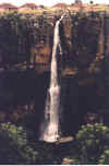 Click for larger photo