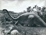 Dinosaur